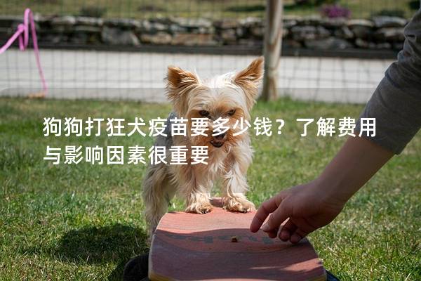 狗狗打狂犬疫苗要多少錢?了解費用與影響因素很重要 狗狗打狂犬疫苗要多少錢?了解費用與影響因素很重要