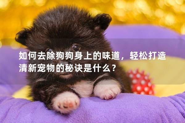 如何去除狗狗身上的味道,輕松打造清新寵物的秘訣是什么?