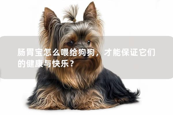 腸胃寶怎么喂給狗狗，才能保證它們的健康與快樂？