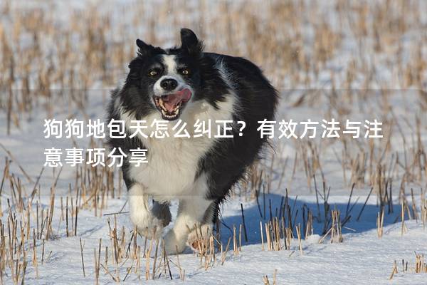 狗狗地包天怎么糾正？有效方法與注意事項(xiàng)分享