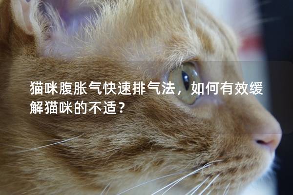 貓咪腹脹氣快速排氣法，如何有效緩解貓咪的不適？