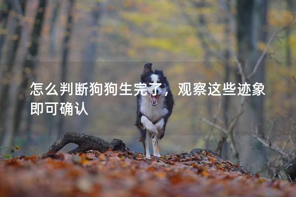 怎么判斷狗狗生完了，觀察這些跡象即可確認