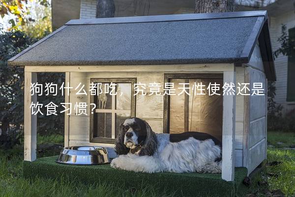 狗狗什么都吃，究竟是天性使然還是飲食習(xí)慣？