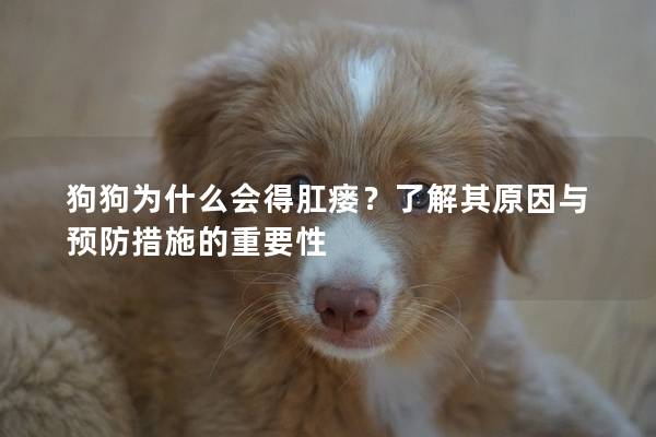 狗狗為什么會得肛瘺？了解其原因與預防措施的重要性