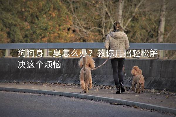 狗狗身上臭怎么辦？教你幾招輕松解決這個煩惱