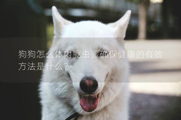 狗狗怎么體內驅蟲，確保健康的有效方法是什么？