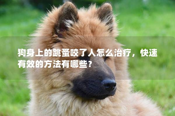 狗身上的跳蚤咬了人怎么治療，快速有效的方法有哪些？