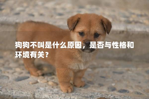 狗狗不叫是什么原因，是否與性格和環(huán)境有關(guān)？