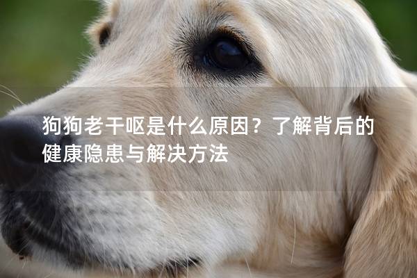 狗狗老干嘔是什么原因？了解背后的健康隱患與解決方法