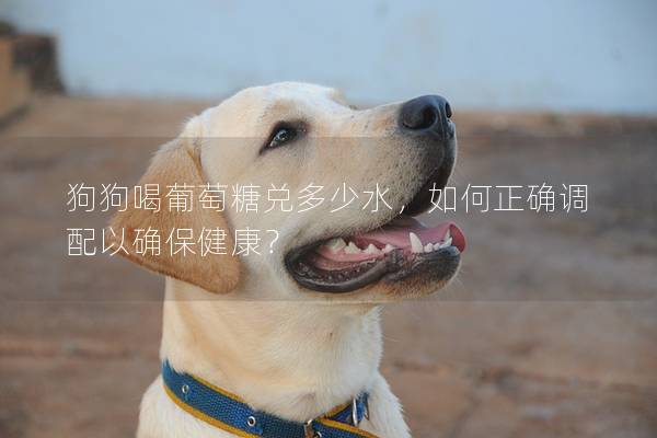 狗狗喝葡萄糖兌多少水，如何正確調配以確保健康？