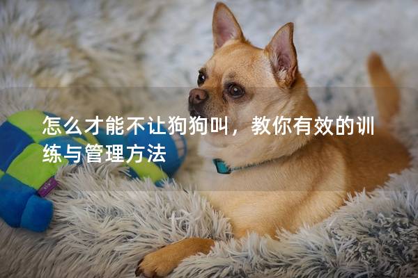 怎么才能不讓狗狗叫，教你有效的訓(xùn)練與管理方法