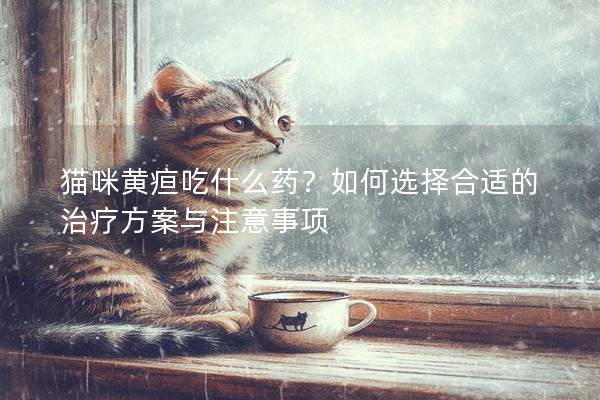 貓咪黃疸吃什么藥？如何選擇合適的治療方案與注意事項