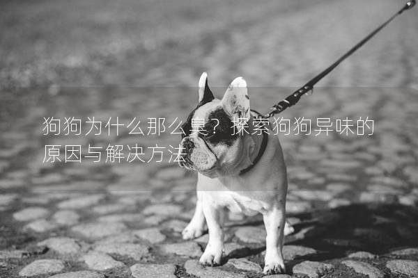 狗狗為什么那么臭？探索狗狗異味的原因與解決方法