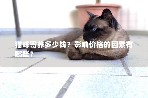 貓咪寄養(yǎng)多少錢？影響價格的因素有哪些？
