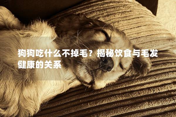 狗狗吃什么不掉毛？揭秘飲食與毛發健康的關系