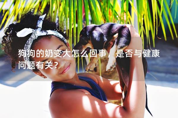 狗狗的奶變大怎么回事，是否與健康問題有關？