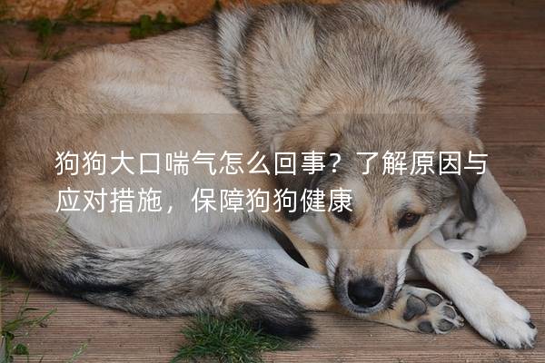 狗狗大口喘氣怎么回事？了解原因與應(yīng)對措施，保障狗狗健康