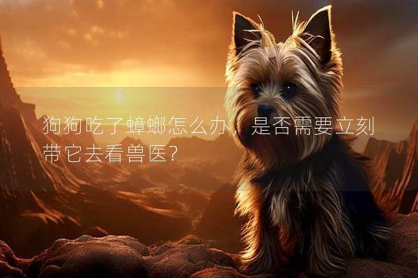 狗狗吃了蟑螂怎么辦，是否需要立刻帶它去看獸醫？
