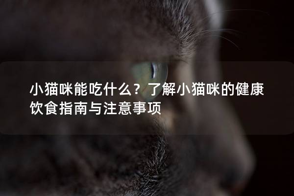 小貓咪能吃什么？了解小貓咪的健康飲食指南與注意事項
