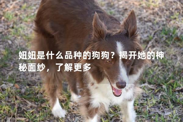 妞妞是什么品種的狗狗?揭開她的神秘面紗,了解更多 妞妞是什么品種的狗狗?揭開她的神秘面紗,了解更多