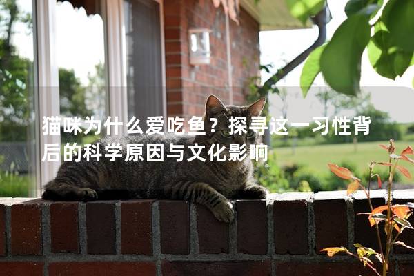 貓咪為什么愛吃魚？探尋這一習(xí)性背后的科學(xué)原因與文化影響