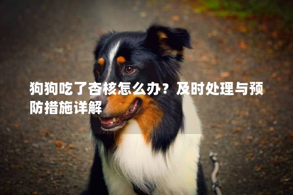 狗狗吃了杏核怎么辦？及時處理與預(yù)防措施詳解