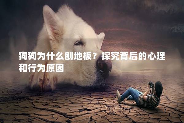 狗狗為什么刨地板？探究背后的心理和行為原因