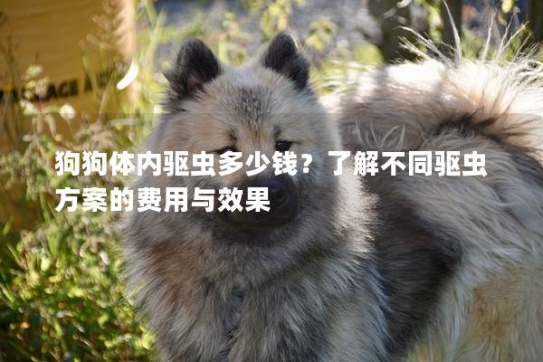 狗狗體內(nèi)驅(qū)蟲多少錢？了解不同驅(qū)蟲方案的費用與效果