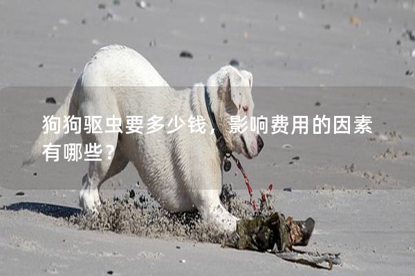狗狗驅蟲要多少錢，影響費用的因素有哪些？