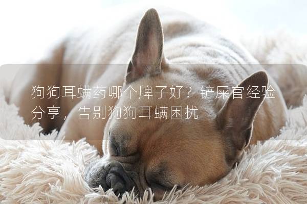 狗狗耳螨藥哪個牌子好？鏟屎官經驗分享，告別狗狗耳螨困擾