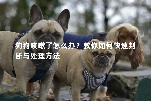 狗狗咳嗽了怎么辦？教你如何快速判斷與處理方法