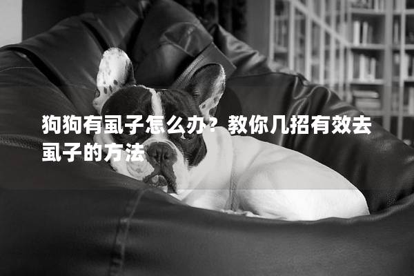狗狗有虱子怎么辦？教你幾招有效去虱子的方法