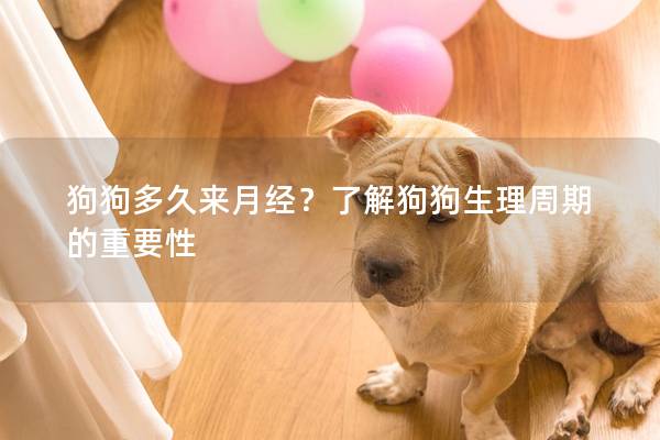 狗狗多久來月經？了解狗狗生理周期的重要性
