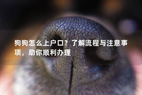 狗狗怎么上戶口？了解流程與注意事項，助你順利辦理