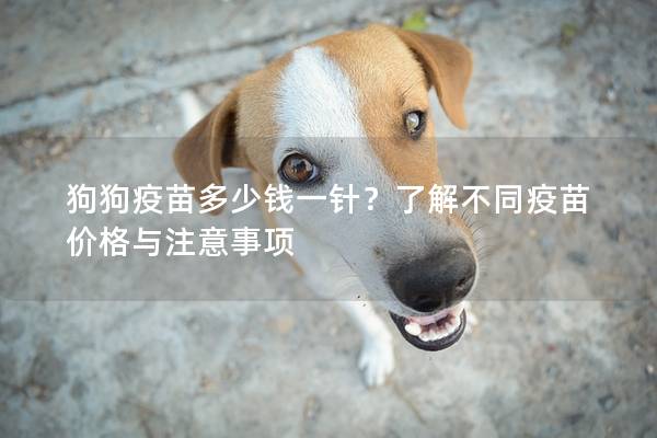 狗狗疫苗多少錢一針？了解不同疫苗價格與注意事項