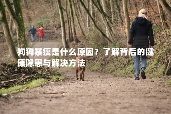 狗狗暴瘦是什么原因？了解背后的健康隱患與解決方法