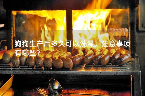 狗狗生產(chǎn)后多久可以洗澡，注意事項有哪些？