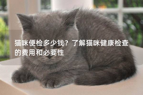 貓咪便檢多少錢?了解貓咪健康檢查的費用和必要性 貓咪便檢多少錢?了解貓咪健康檢查的費用和必要性