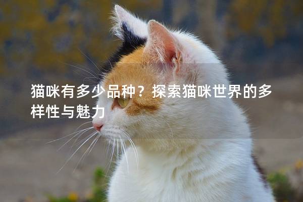 貓咪有多少品種？探索貓咪世界的多樣性與魅力