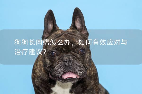 狗狗長肉瘤怎么辦,如何有效應對與治療建議? 狗狗長肉瘤怎么辦,如何有效應對與治療建議?