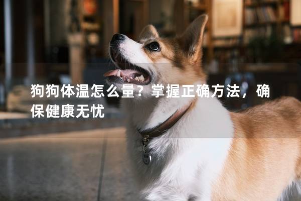 狗狗體溫怎么量？掌握正確方法，確保健康無憂