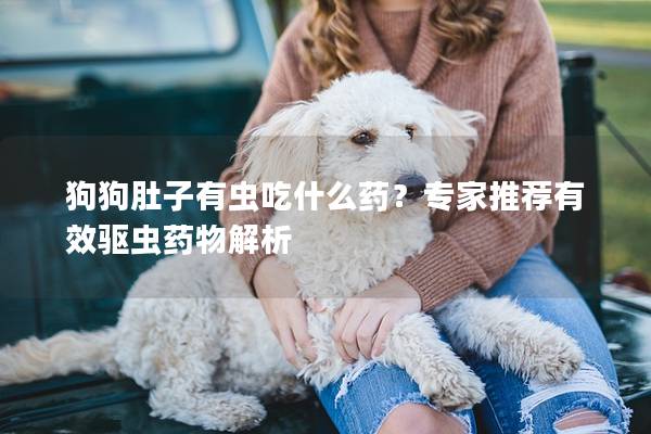 狗狗肚子有蟲吃什么藥？專家推薦有效驅(qū)蟲藥物解析
