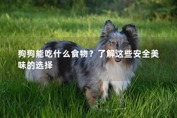 狗狗能吃什么食物？了解這些安全美味的選擇