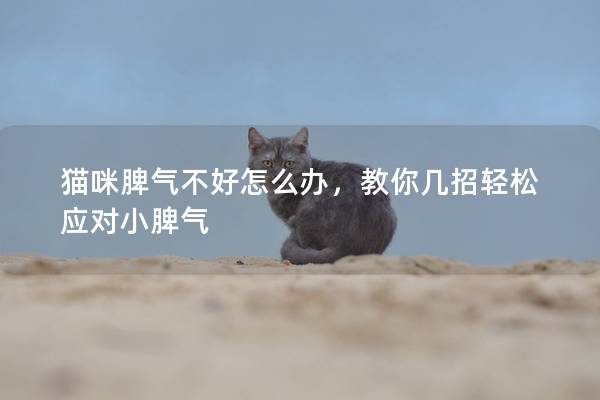 貓咪脾氣不好怎么辦，教你幾招輕松應(yīng)對小脾氣