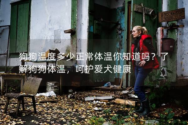 狗狗溫度多少正常體溫你知道嗎？了解狗狗體溫，呵護愛犬健康