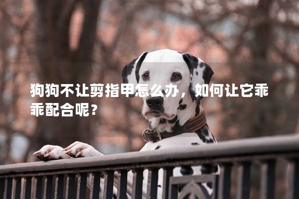 狗狗不讓剪指甲怎么辦，如何讓它乖乖配合呢？