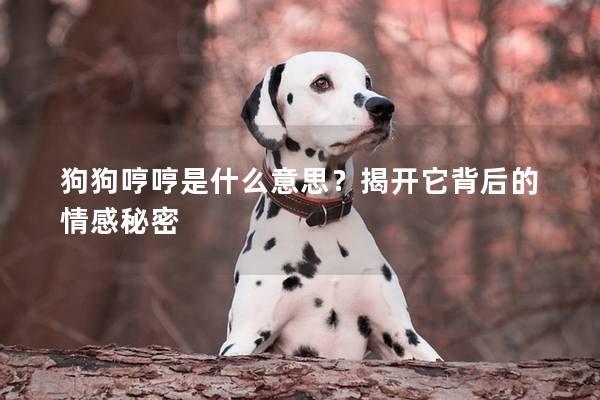 狗狗哼哼是什么意思？揭開它背后的情感秘密