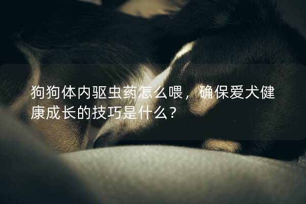 狗狗體內驅蟲藥怎么喂，確保愛犬健康成長的技巧是什么？