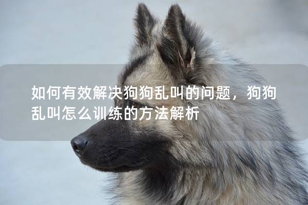 如何有效解決狗狗亂叫的問(wèn)題，狗狗亂叫怎么訓(xùn)練的方法解析