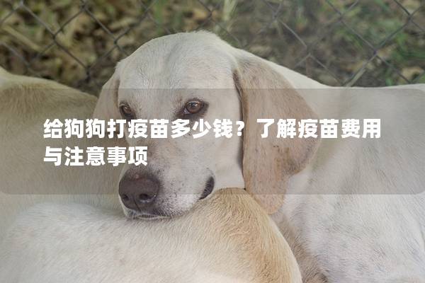 給狗狗打疫苗多少錢？了解疫苗費用與注意事項